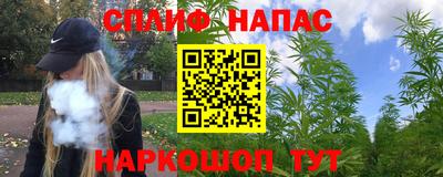 крисы Гусев
