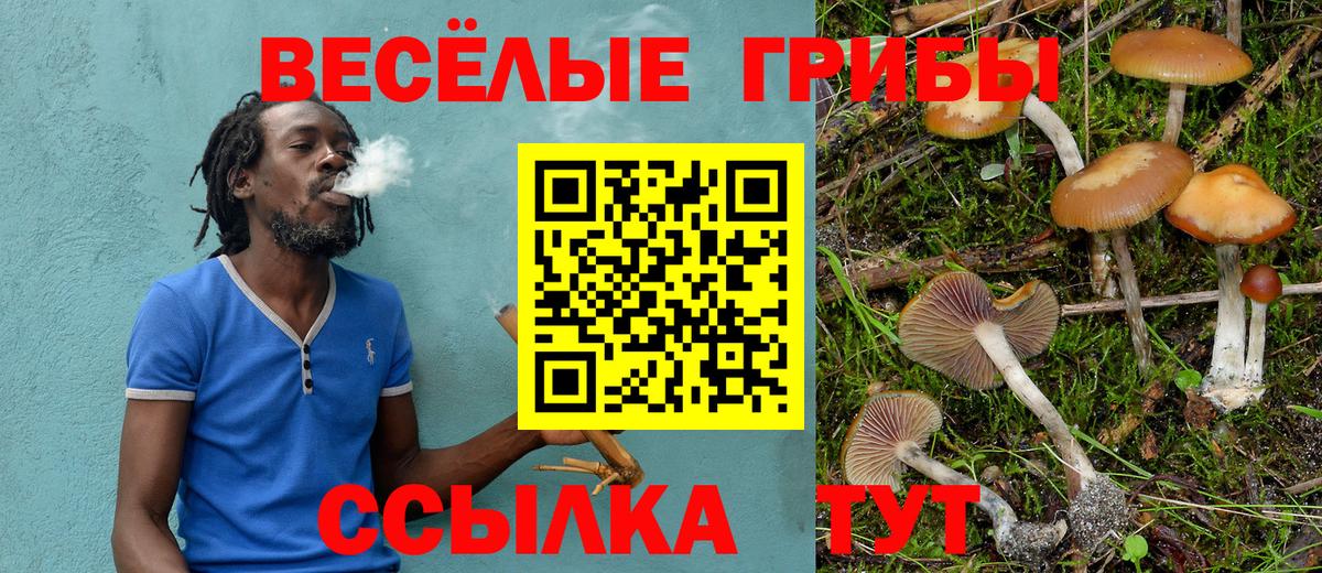 Нижнеудинск  Псилоцибиновые грибы Cubensis  Вход с VPN 